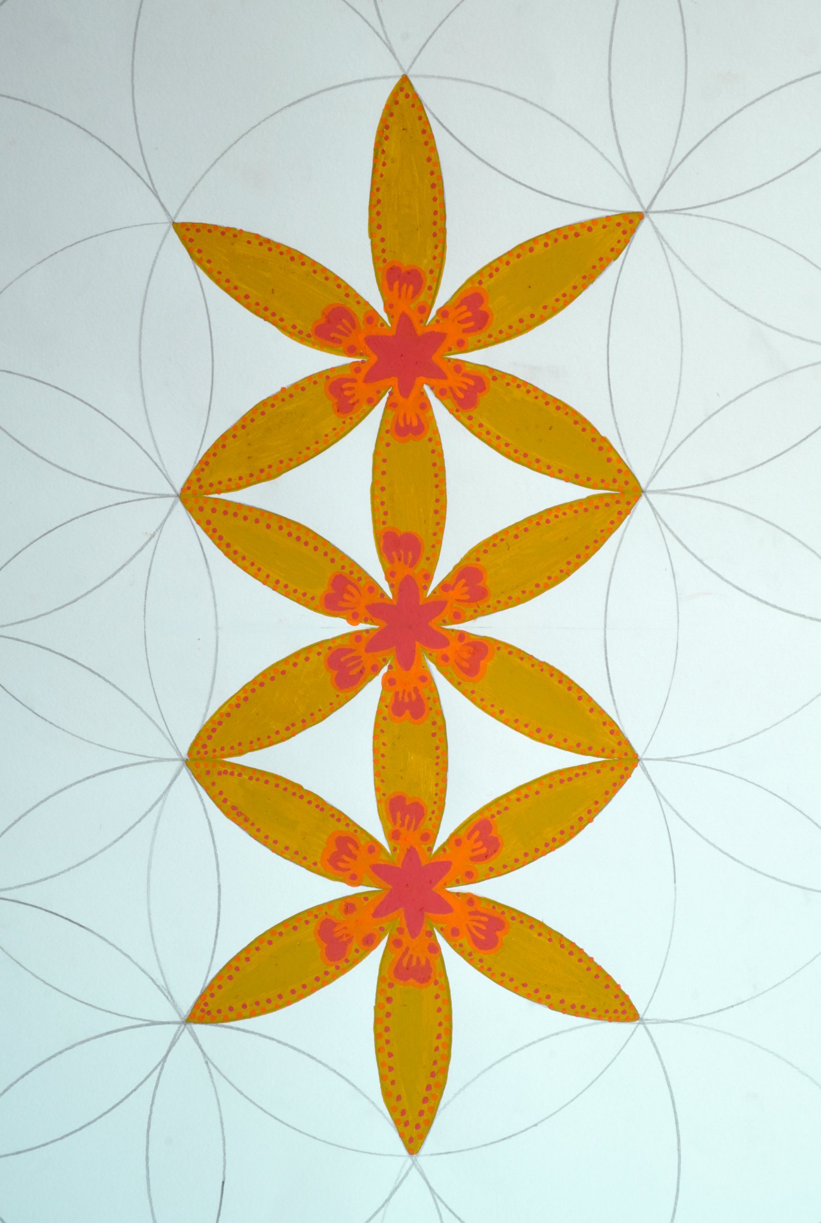 MET EEN PASSER BLOEMEN TEKENEN